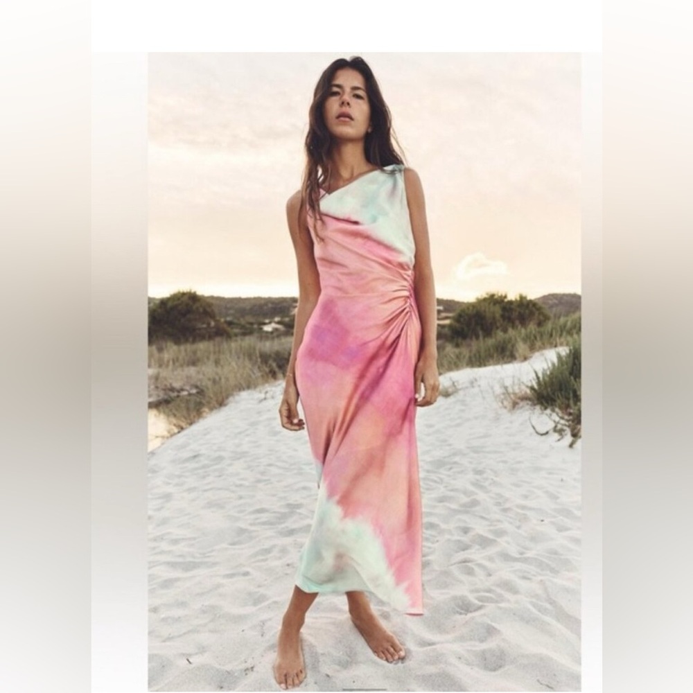 Zara Multi-color Dress